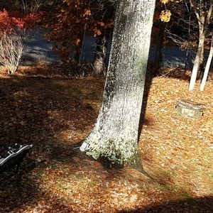 Meet your Posher, Trisha